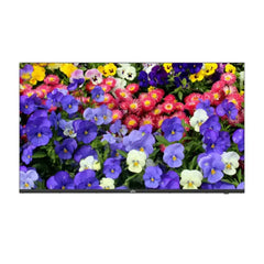 UNV 43-Inch Monitor LED 4K Monitor MW3243-F - V-High-Resolution Display