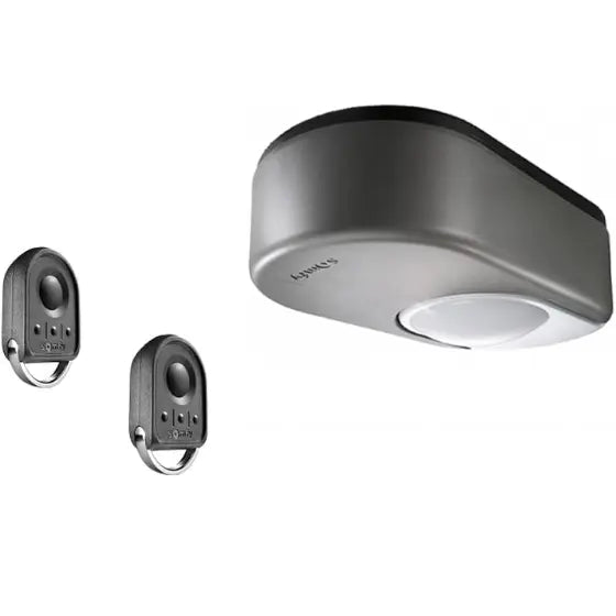 SOMFY  Garage/ Sectional Door DEXXO PRO 1000RTS Made In France Merac Dubai